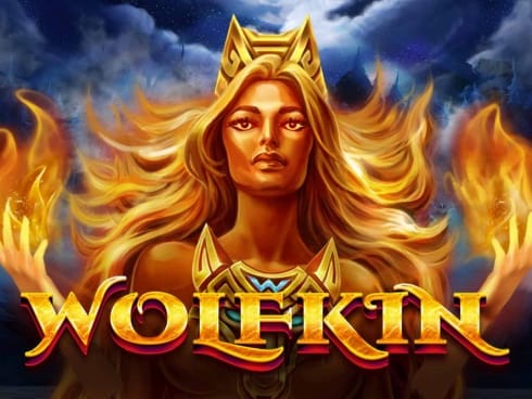 وولف کن game screenshot