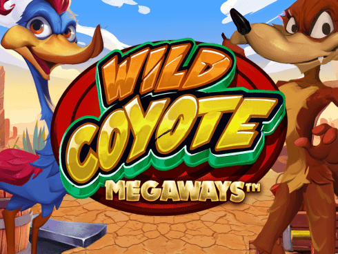 وائلڈ کویوٹی میگا ویز game icon