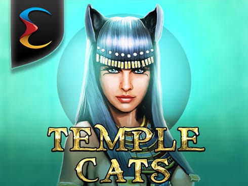 ٹیمپل کیٹس game icon